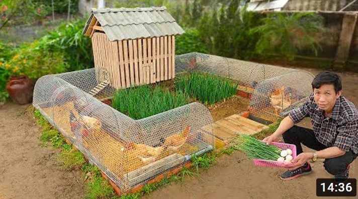 how to make a unique chicken coop with hardware cloth